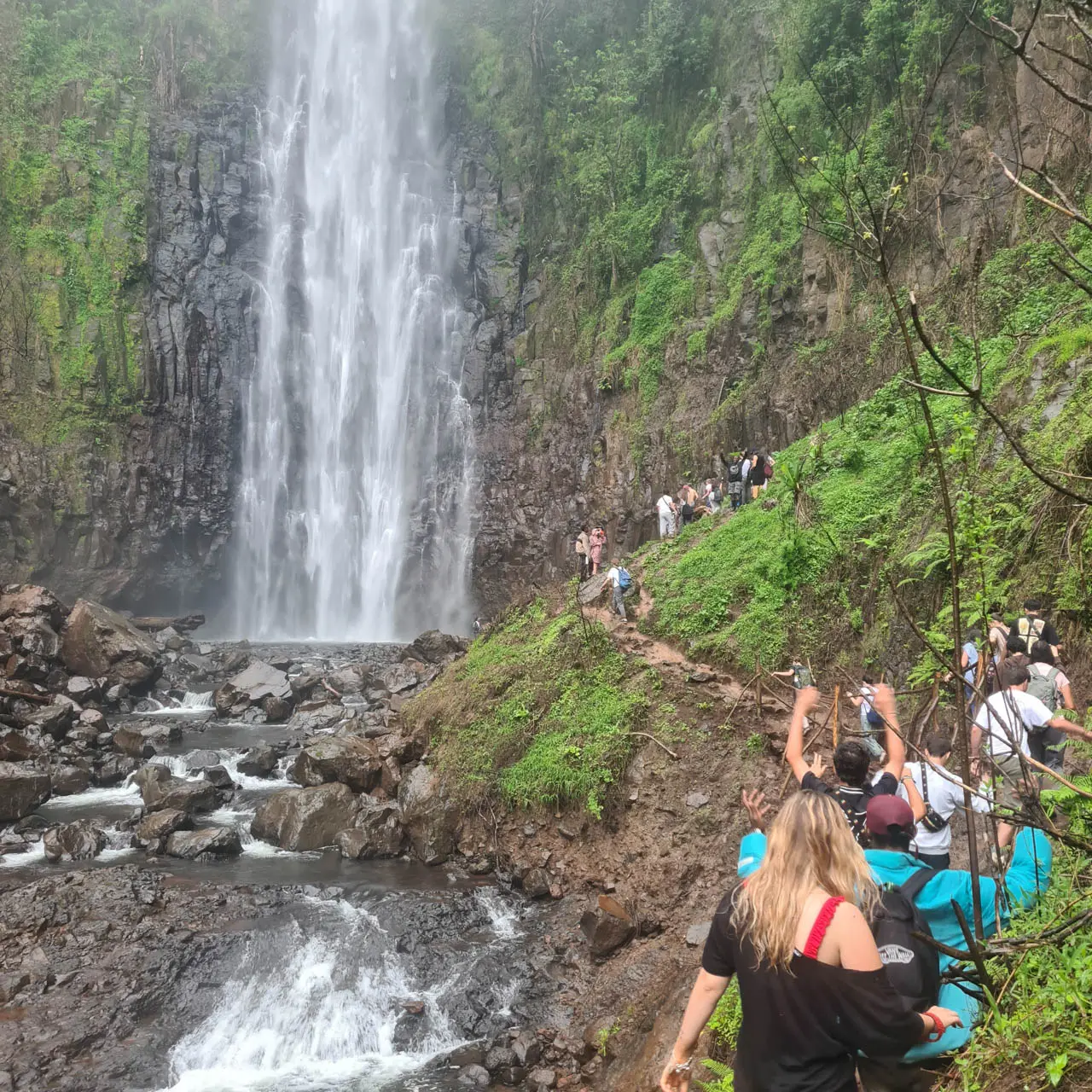 Materuni Waterfalls & Coffee Tour