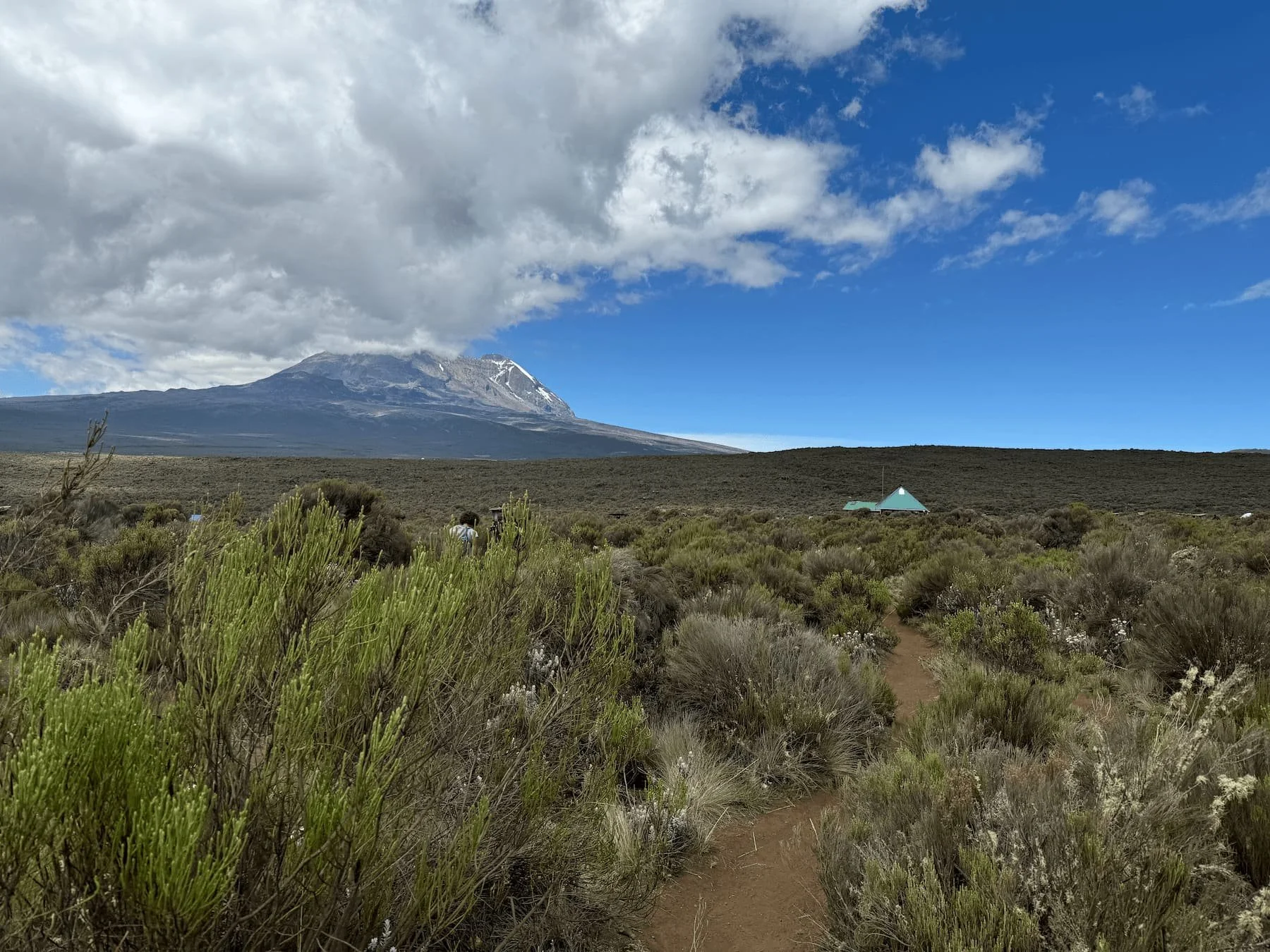 Shira Plateau — vast high-altitude plateau landscape