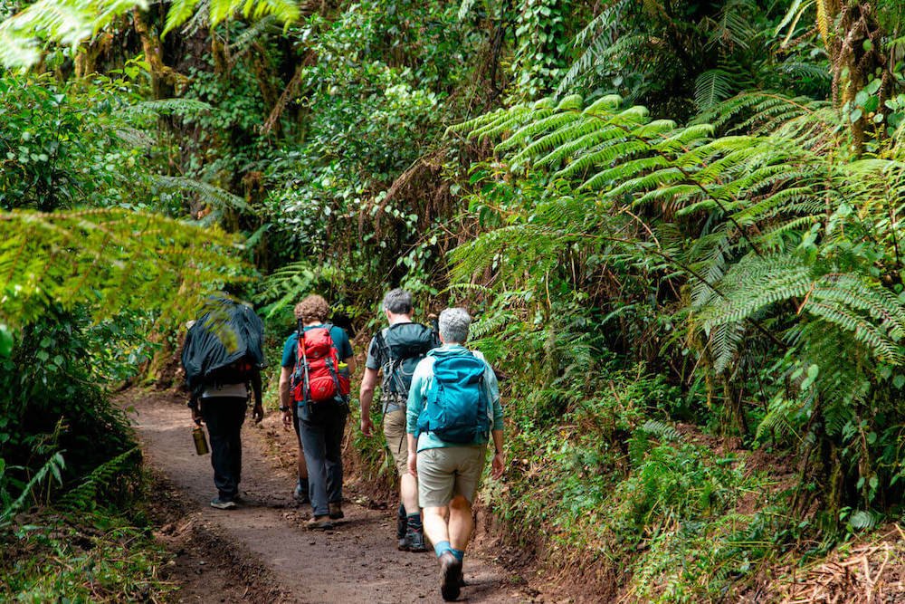 7 Days Rongai Route Kilimanjaro Trek