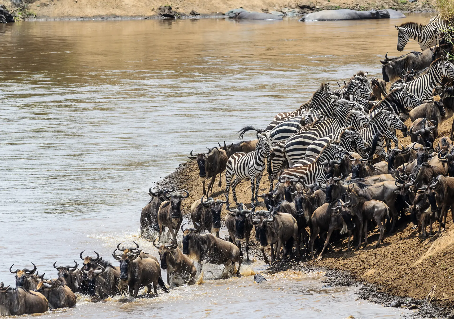 6 Days Mara River Crossing Express