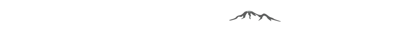 Sustainable Tourism Association