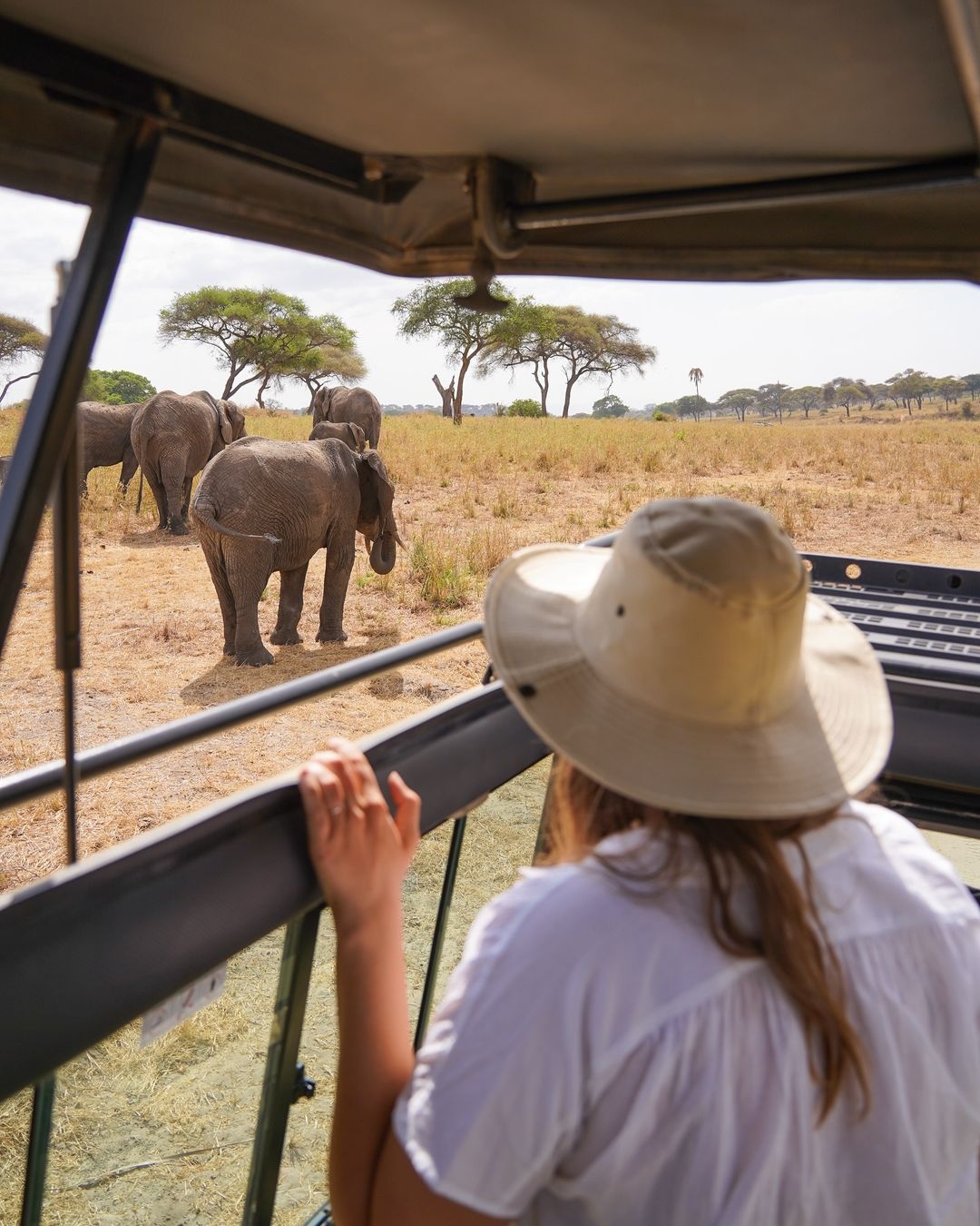 Professional safari guide in Tanzania