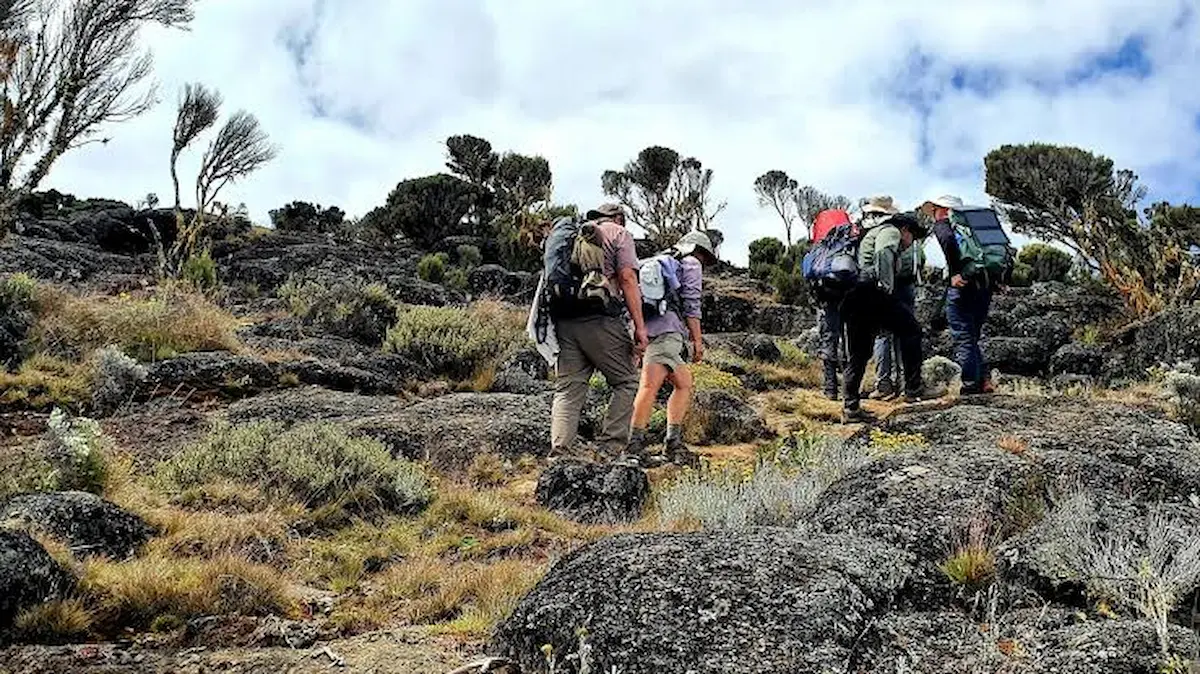 Why Do Guides Say "Pole Pole" on Kilimanjaro? The Science Behind Slow Climbing