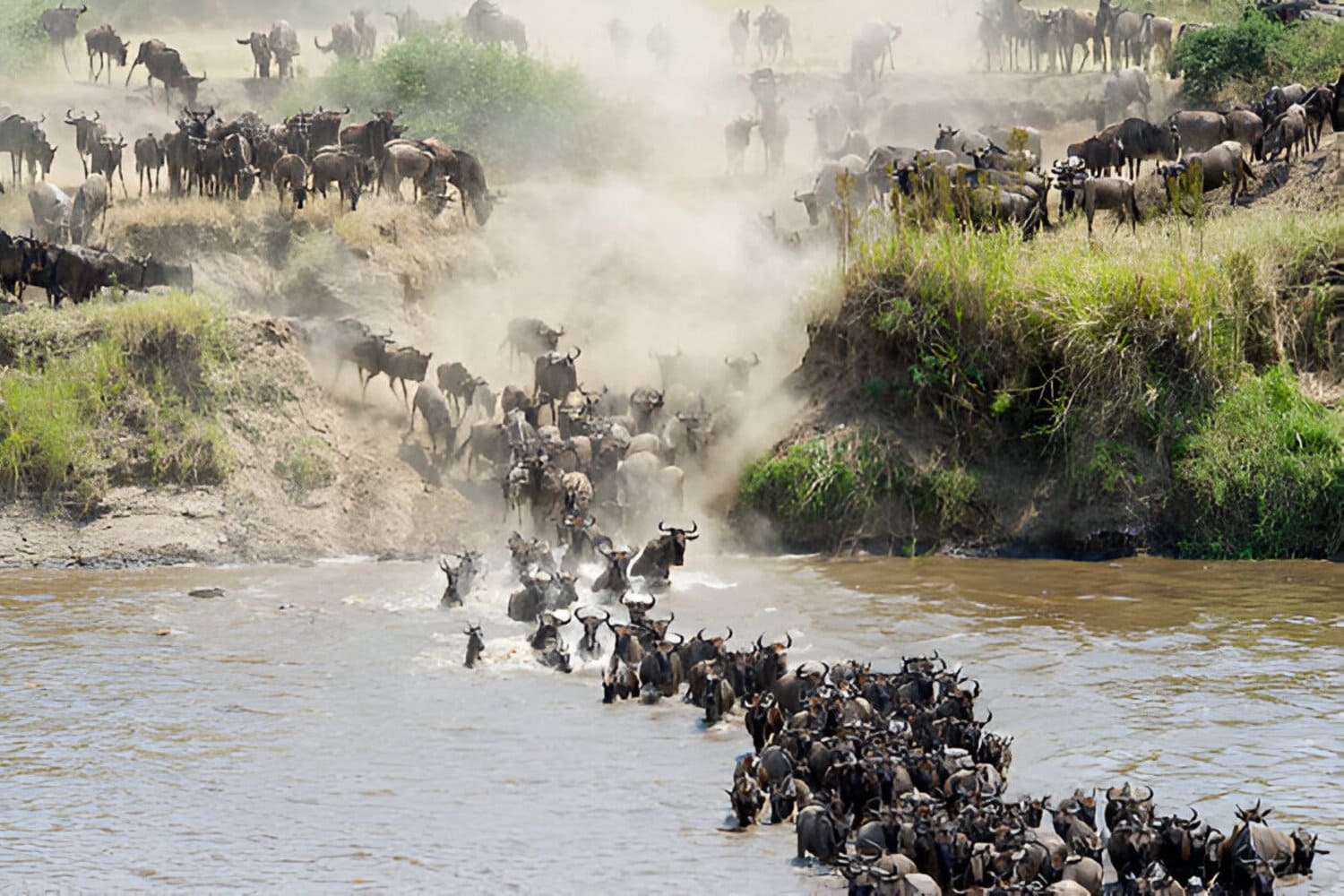 serengeti national park