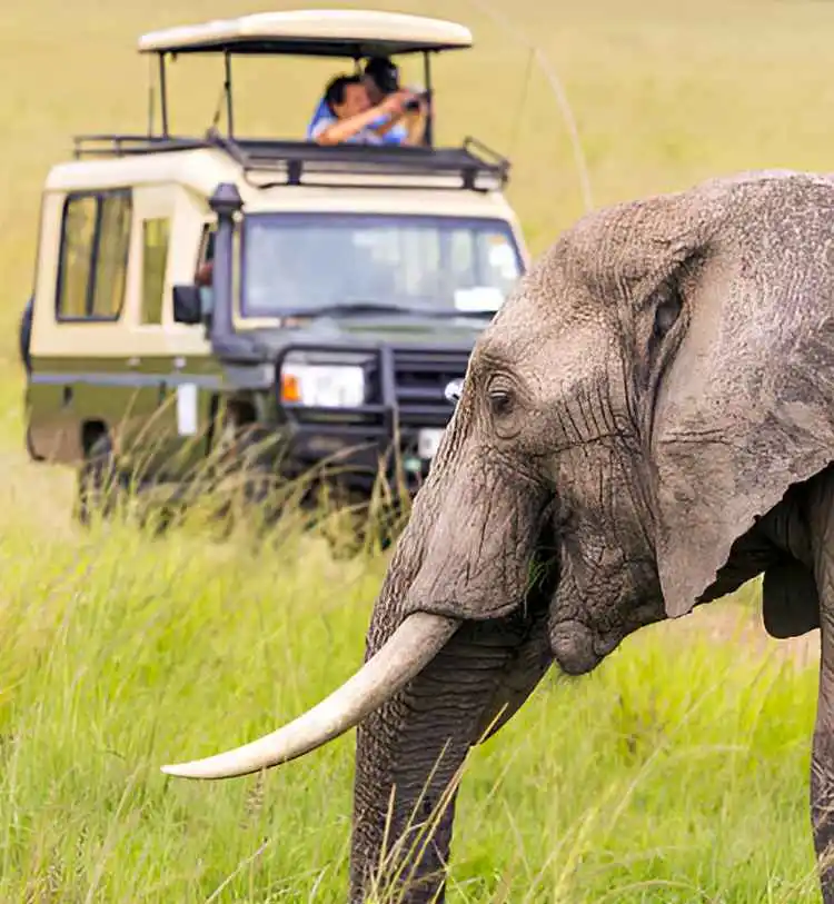 6 Days Tanzania Luxury safari