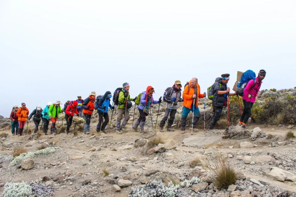 Best Kilimanjaro Routes
