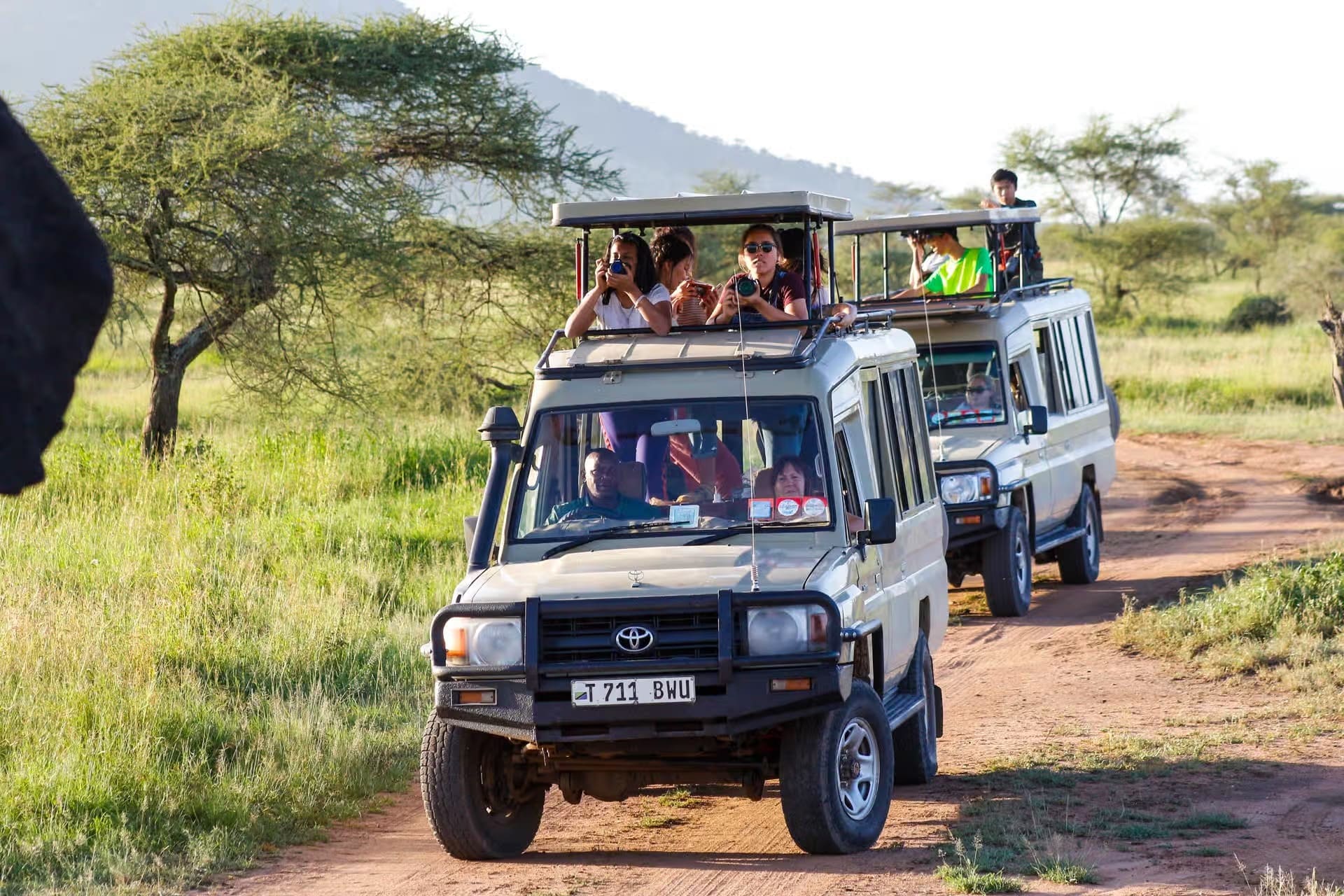 Tanzania Safari Vehicle Types: What’s the Best for You?