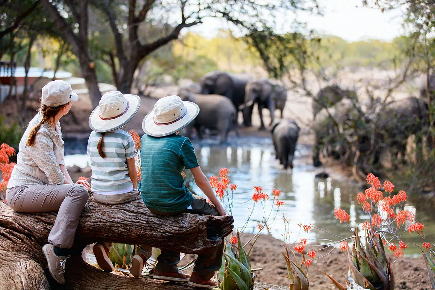How to Prepare Children for a Family Safari in Tanzania