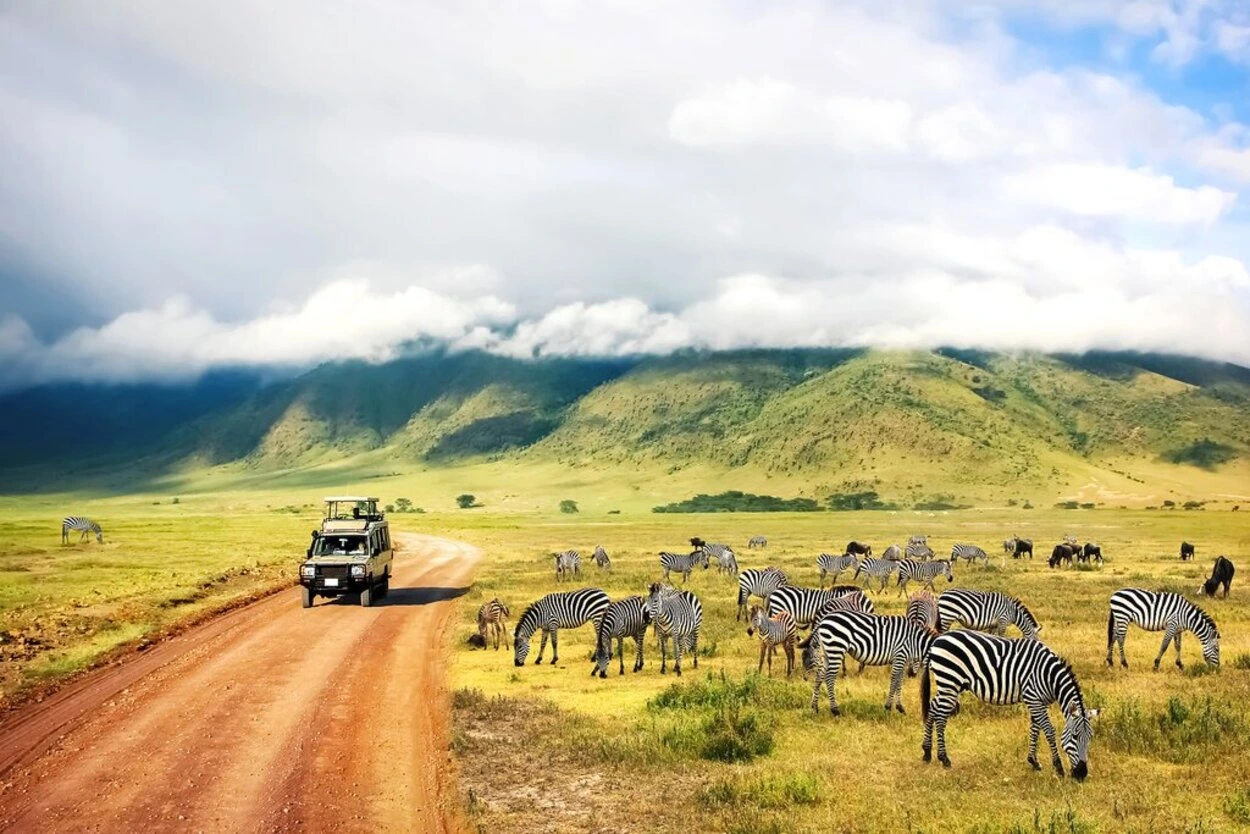 Tanzania Safari Cost Breakdown: What Affects the Price?