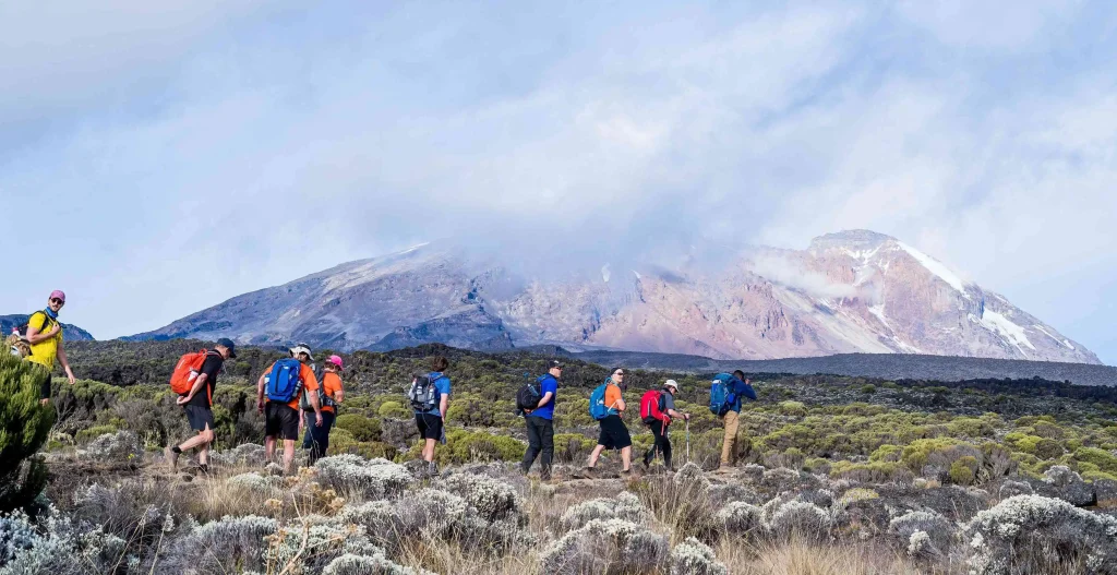 7 days Lemosho Route