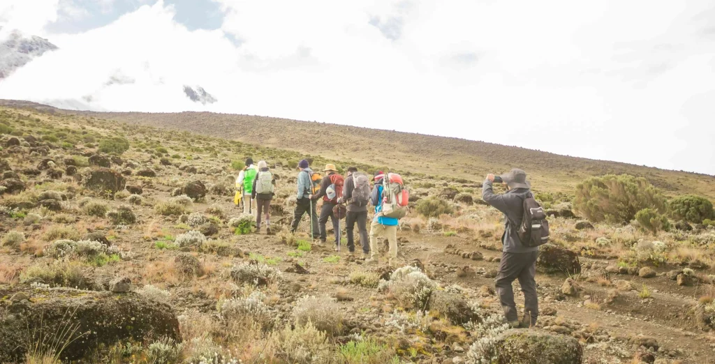 8 Days Lemosho Route