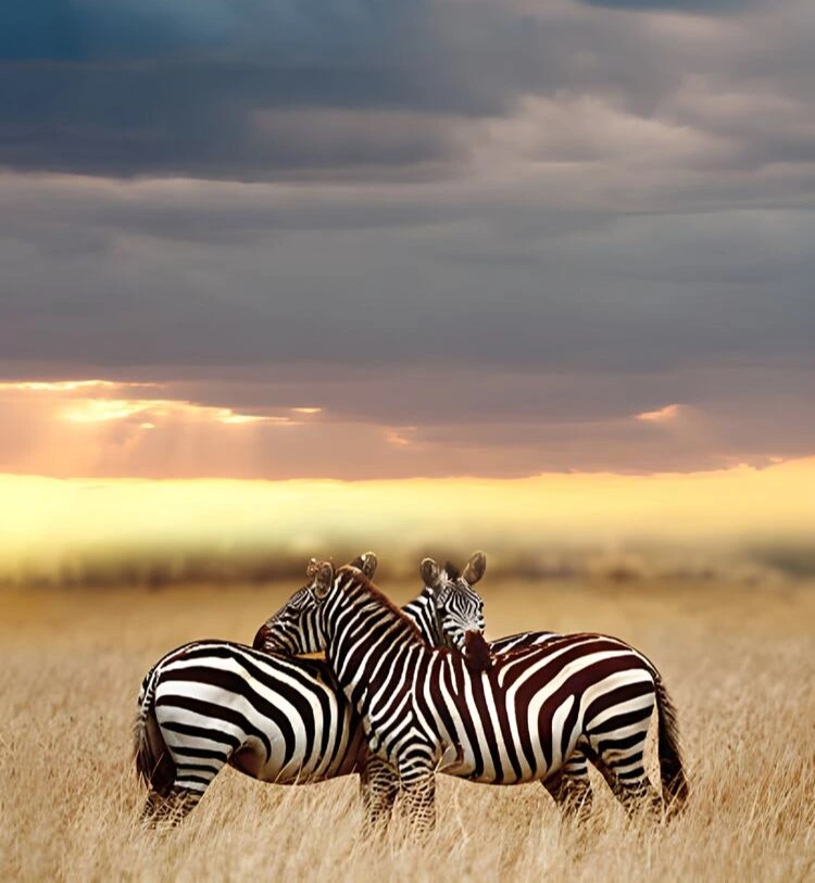 5 Days Grumeti River Predator Safari