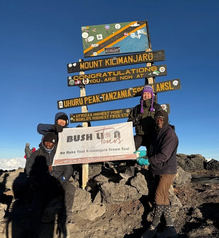 9 Days Kilimanjaro Climb – Northern Circuit