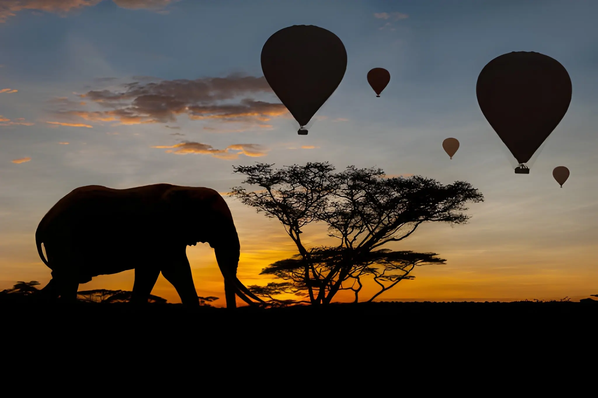 Hot Air Balloon Safari in the Serengeti