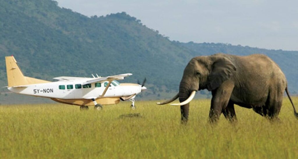 Fly-in & Fly Out Safaris