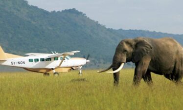 Fly-in & Fly Out Safaris