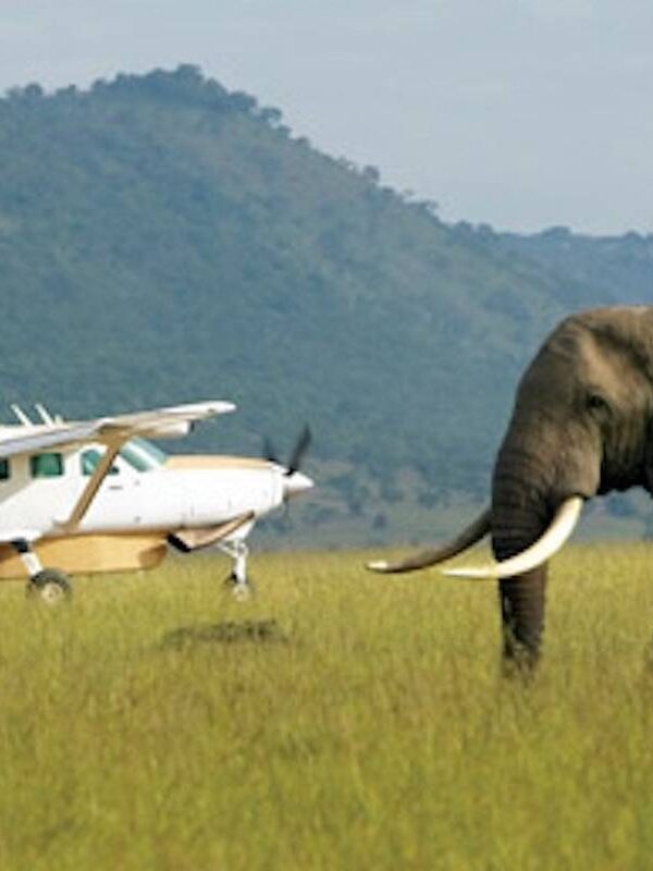 Fly-in & Fly Out Safaris
