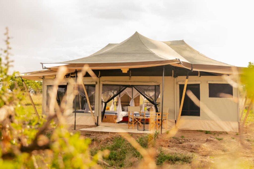 Mid-Range Accommodation in Serengeti