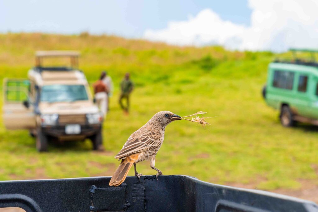 Lake Manyara National Park