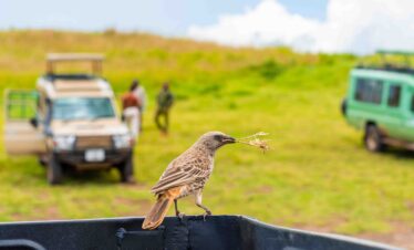 Lake Manyara National Park