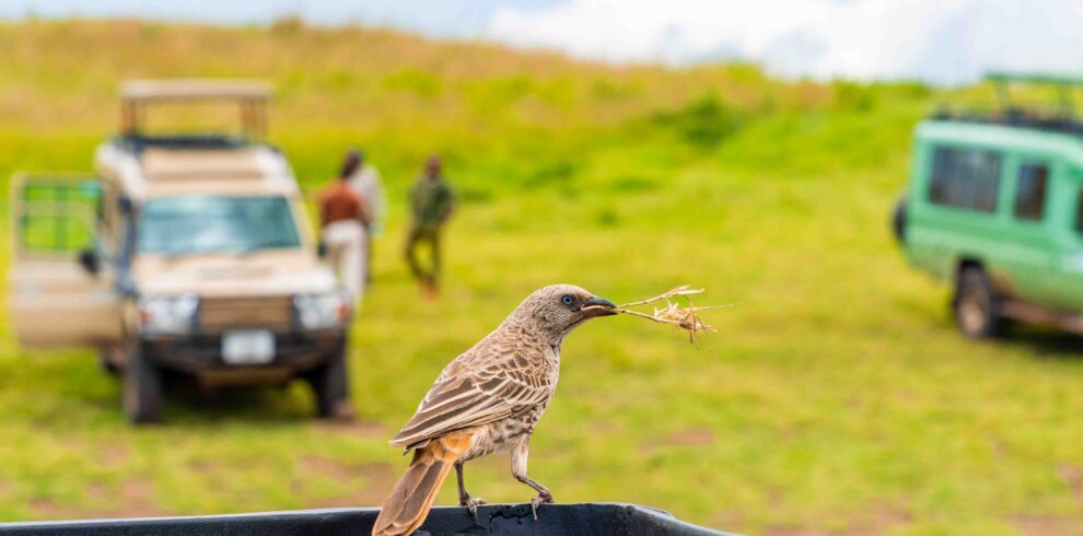 Lake Manyara National Park