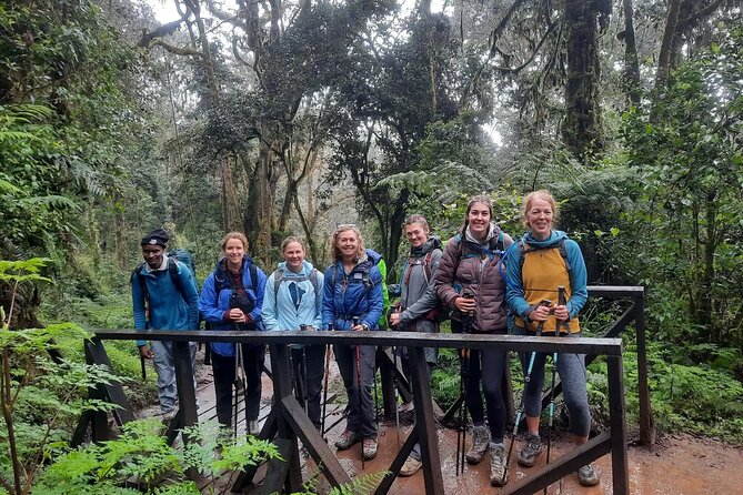 Mount Kilimanjaro Day Hike to Mandara Hut