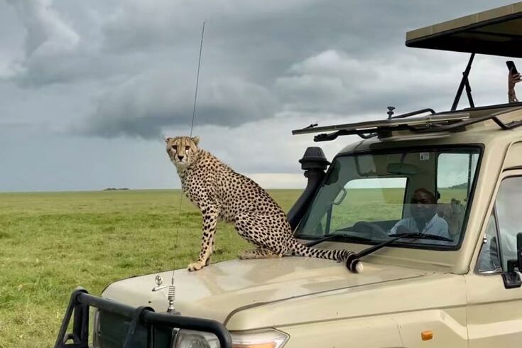 7 Days Tanzania Budget Camping Safari