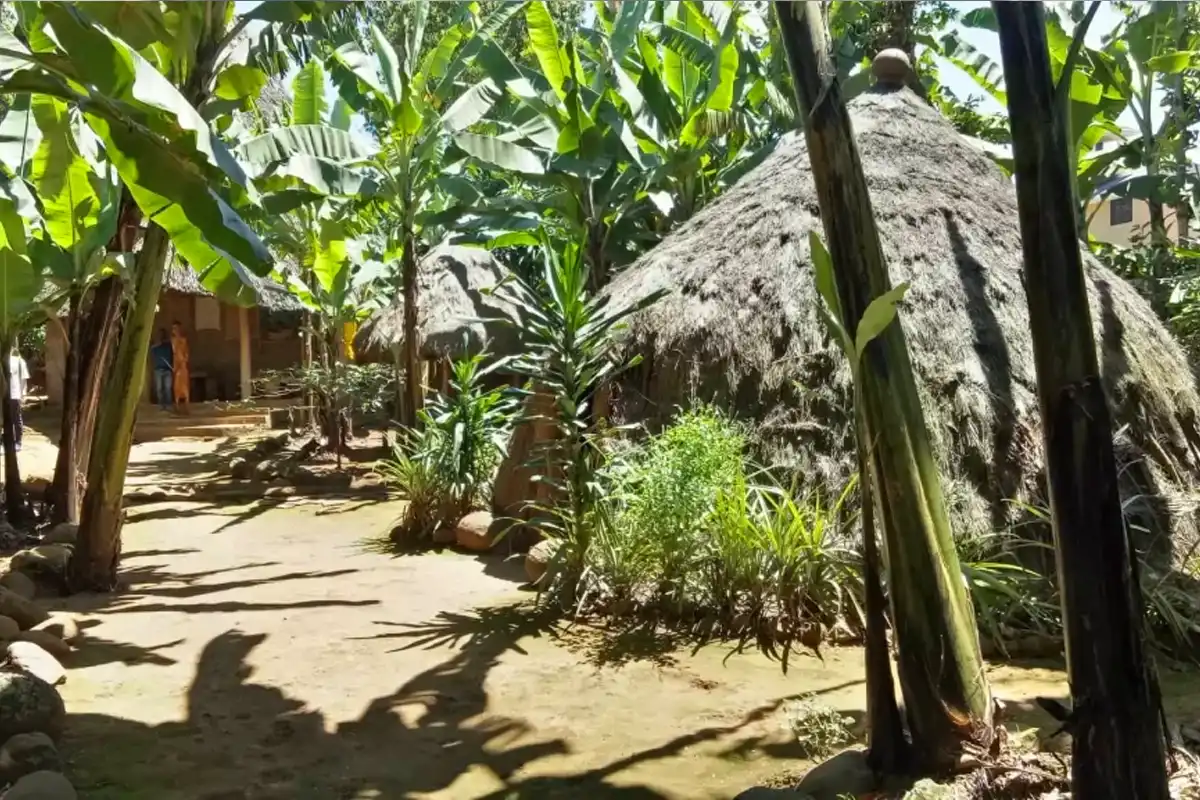 Marangu Village Cultural & Waterfalls Tour