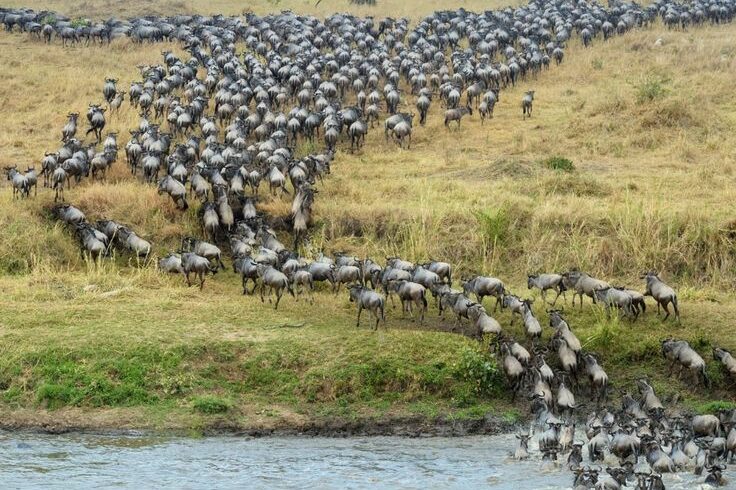 9 Days Serengeti Migration Safari with Culture