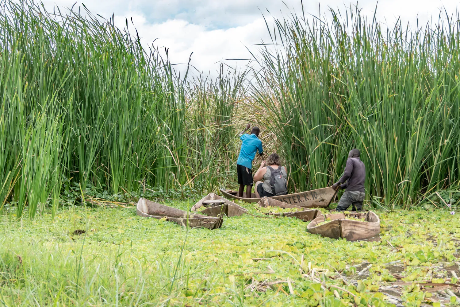 1 Day Lake Jipe Bird Watching Trip