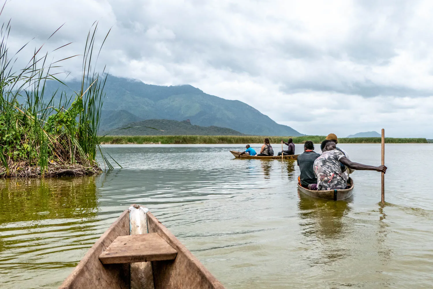 Lake Jipe Bird Watching Trip